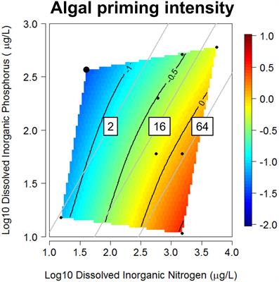 Algal-Mediated Priming Effects on the Ecological Stoichiometry of Leaf Litter Decomposition: A Meta-Analysis